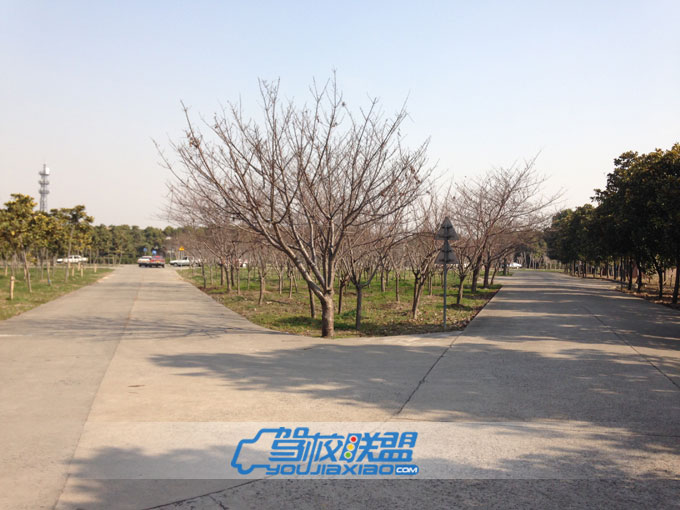 驾校学车基地